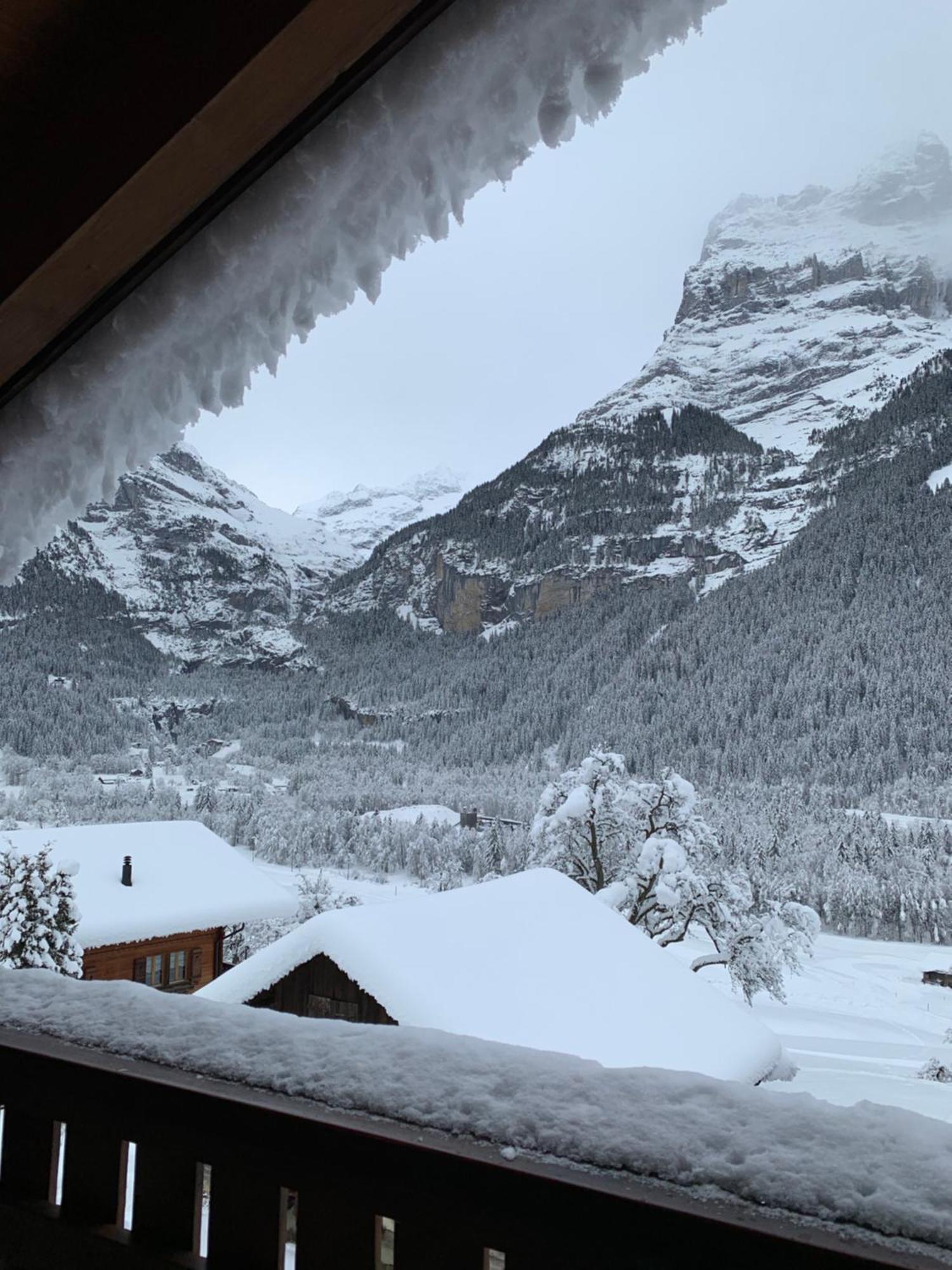 Silberhorn Apartment กรินเดลวัลด์ ภายนอก รูปภาพ