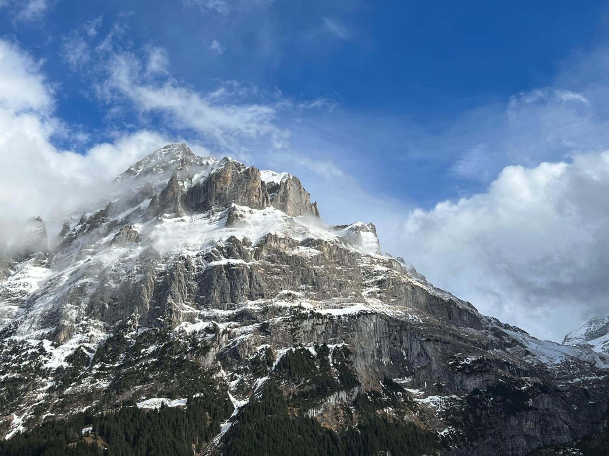 Silberhorn Apartment กรินเดลวัลด์ ภายนอก รูปภาพ