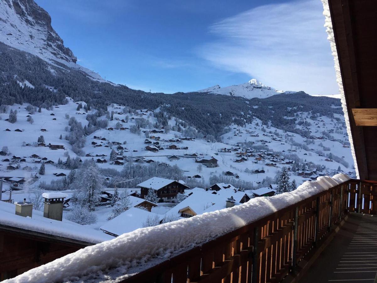 Silberhorn Apartment กรินเดลวัลด์ ภายนอก รูปภาพ