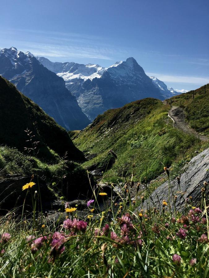 Silberhorn Apartment กรินเดลวัลด์ ภายนอก รูปภาพ