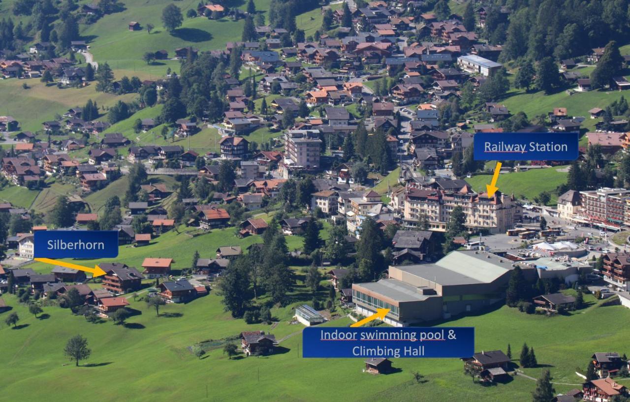 Silberhorn Apartment กรินเดลวัลด์ ภายนอก รูปภาพ