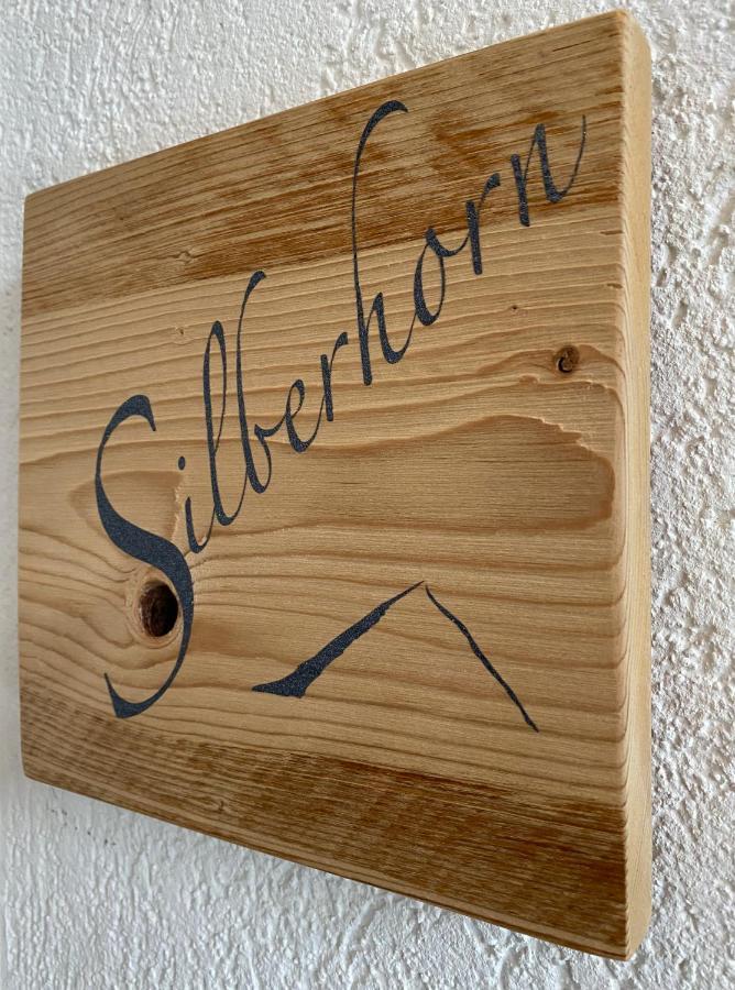 Silberhorn Apartment กรินเดลวัลด์ ภายนอก รูปภาพ